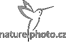 NaturePhoto.cz